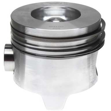Mahle 224-3163WR.020 Piston With Rings (.020)